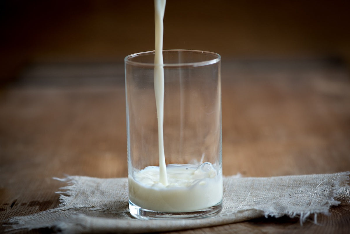 Ditch the Dairy, Keep the Gains: A Short Guide to Lactose Free Protein Powder