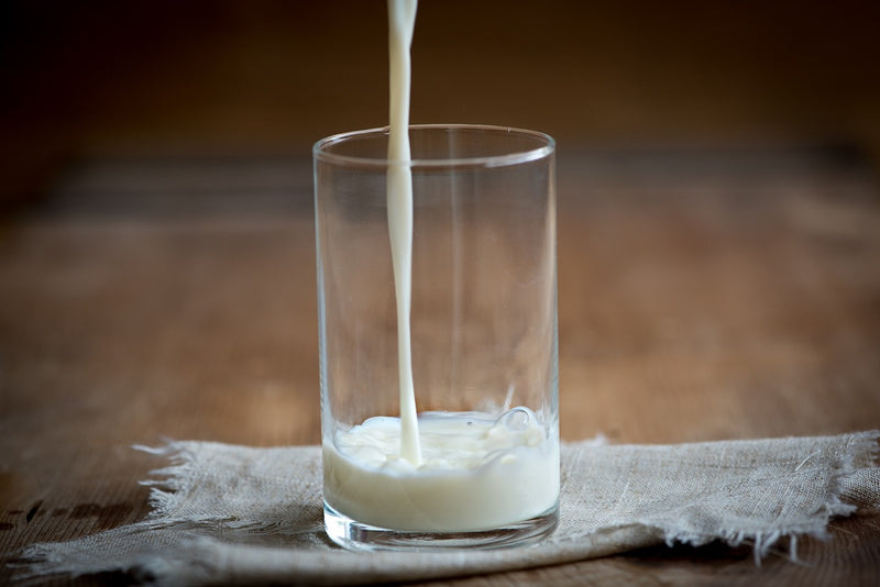 Ditch the Dairy, Keep the Gains: A Short Guide to Lactose Free Protein Powder