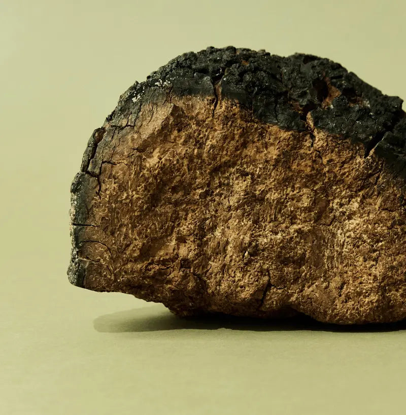 SuperFeast Chaga