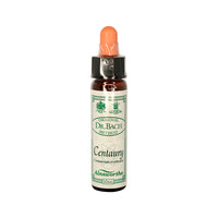 Ainsworths Original Dr. Bach Method Centaury 10ml