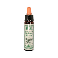 Dr Bach Flower Essence Chestnut Bud