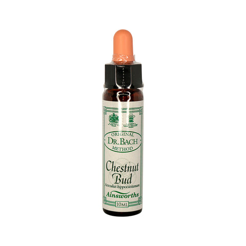 Dr Bach Flower Essence Chestnut Bud