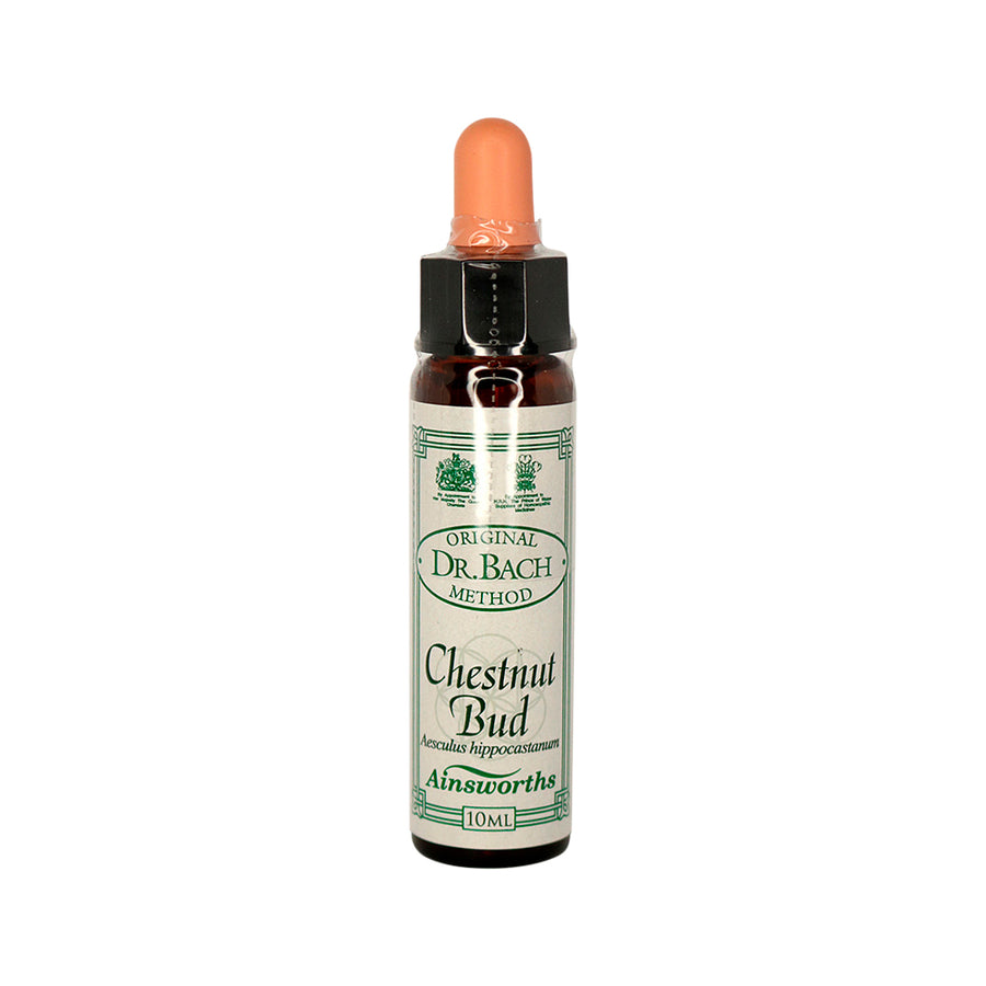 Dr Bach Flower Essence Chestnut Bud