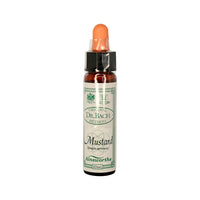 Ainsworths Dr. Bach Original Method Mustard 10mL