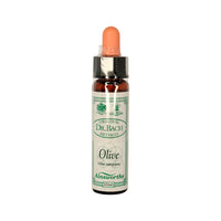Ainsworths Original Dr. Bach Method Olive 10ml