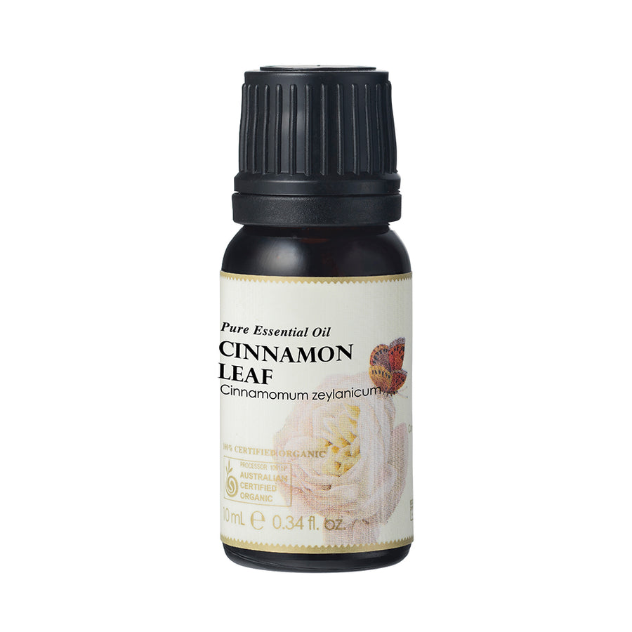 Org Essential Oil Cinnamon Leaf