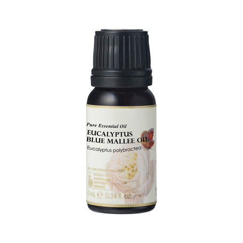 Org Essential Oil Eucalyptus Blue Mallee