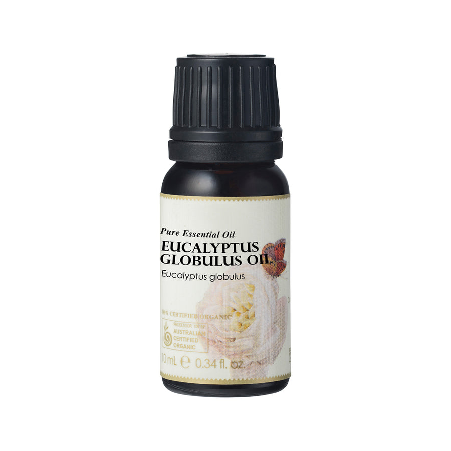 Org Essential Oil Eucalyptus Globulus