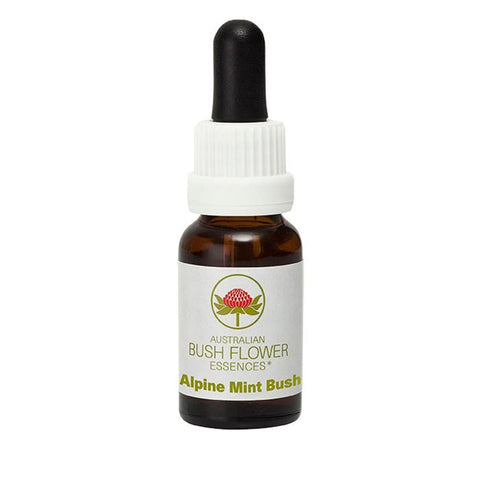 Bush Flower Essences Alpine Mint