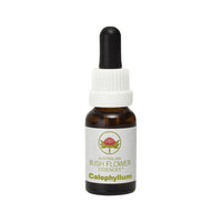 Bush Flower Essences Calophyllum