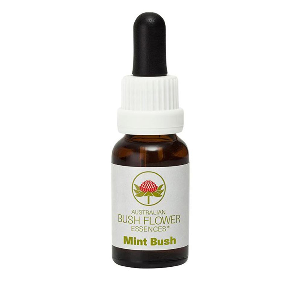 Essences Mint Bush