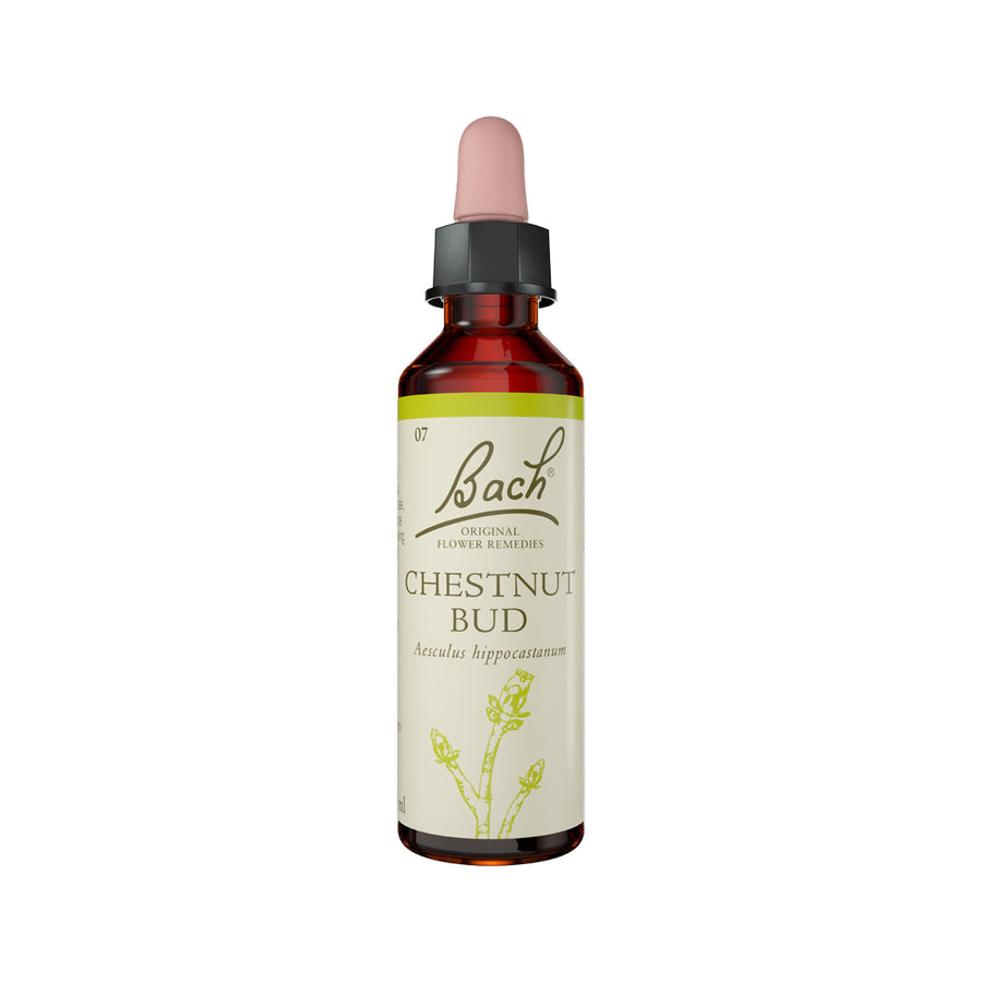 Flower Remedies Chestnut Bud