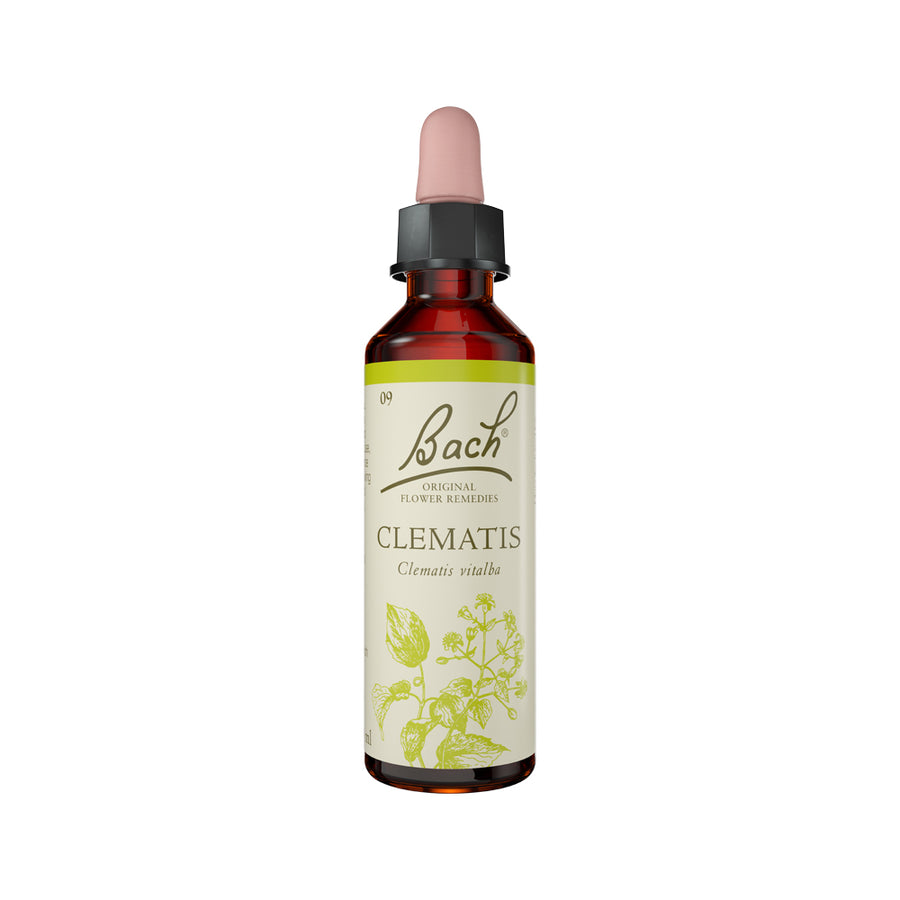 Flower Remedies Clematis