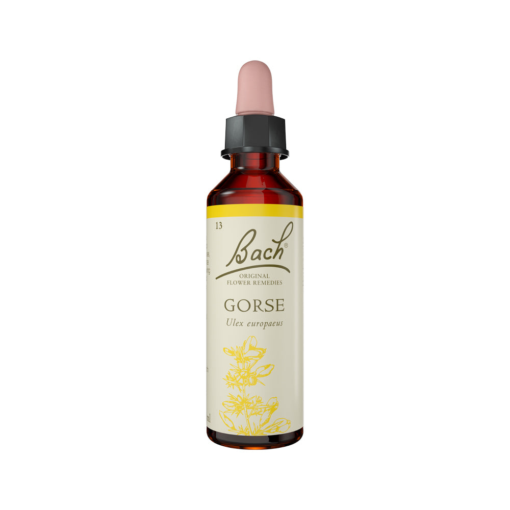 Flower Remedies Gorse