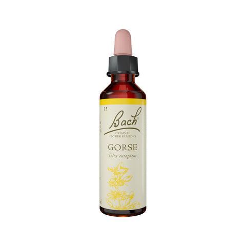 Flower Remedies Gorse