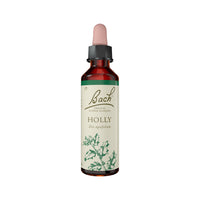 Flower Remedies Holly