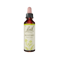 Flower Remedies Mustard