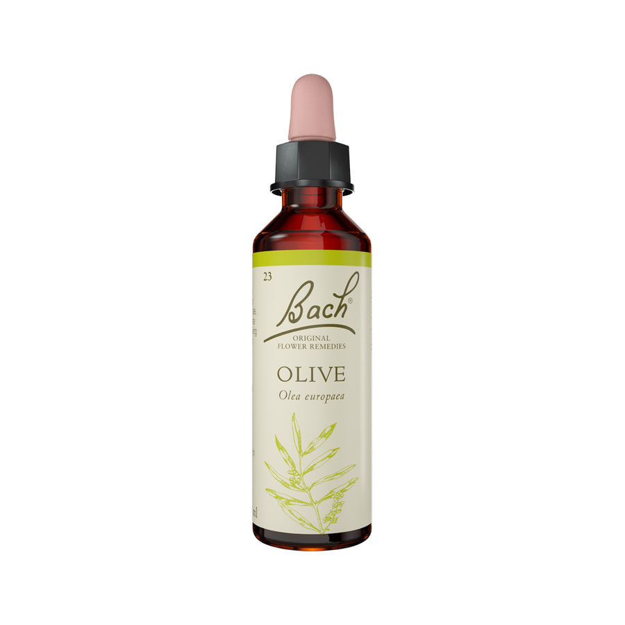 Flower Remedies Olive