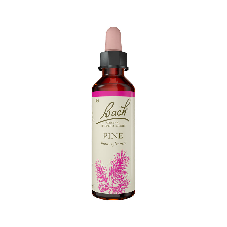 Flower Remedies Pine