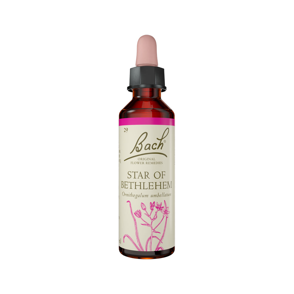 Flower Remedies Star of Bethlehem