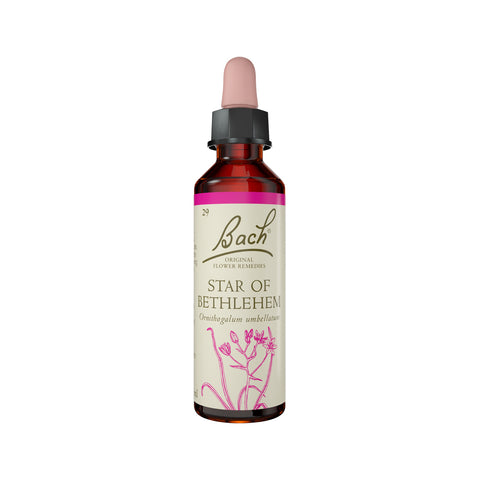 Flower Remedies Star of Bethlehem