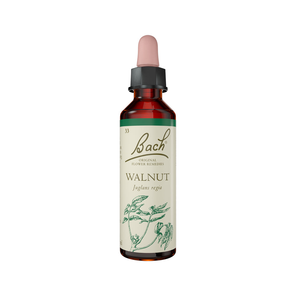 Flower Remedies Walnut