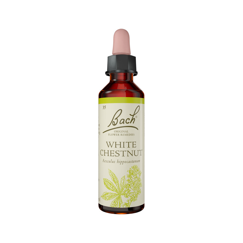 Remedies White Chestnut