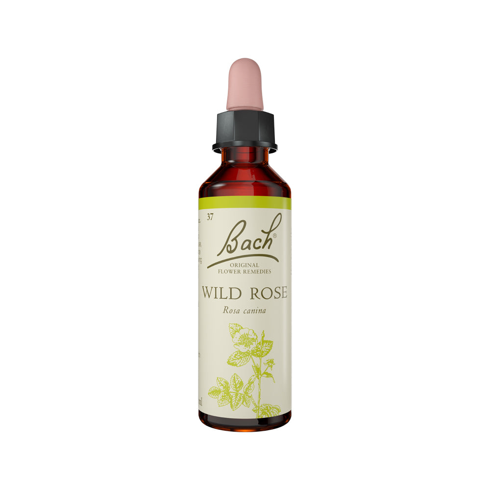 Remedies Wild Rose