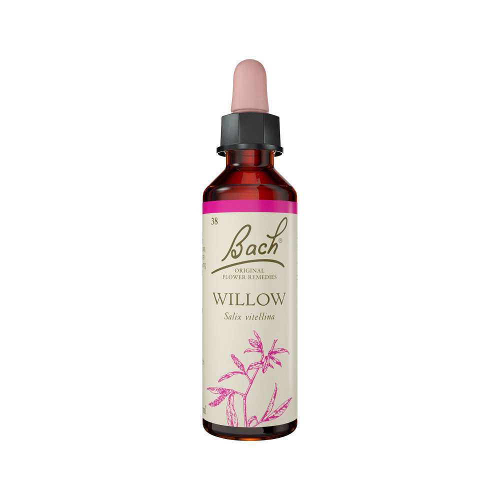 Flower Remedies Willow