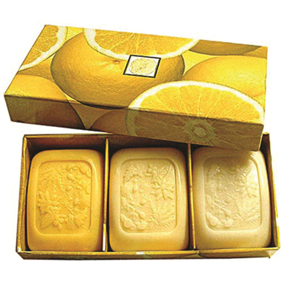 Clover Fields Gift Box Fresh Fruits Box Grapefruit 3 Pack
