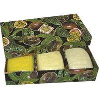 Clover Fields Gift Box Fresh Fruits Box Passionfruit 