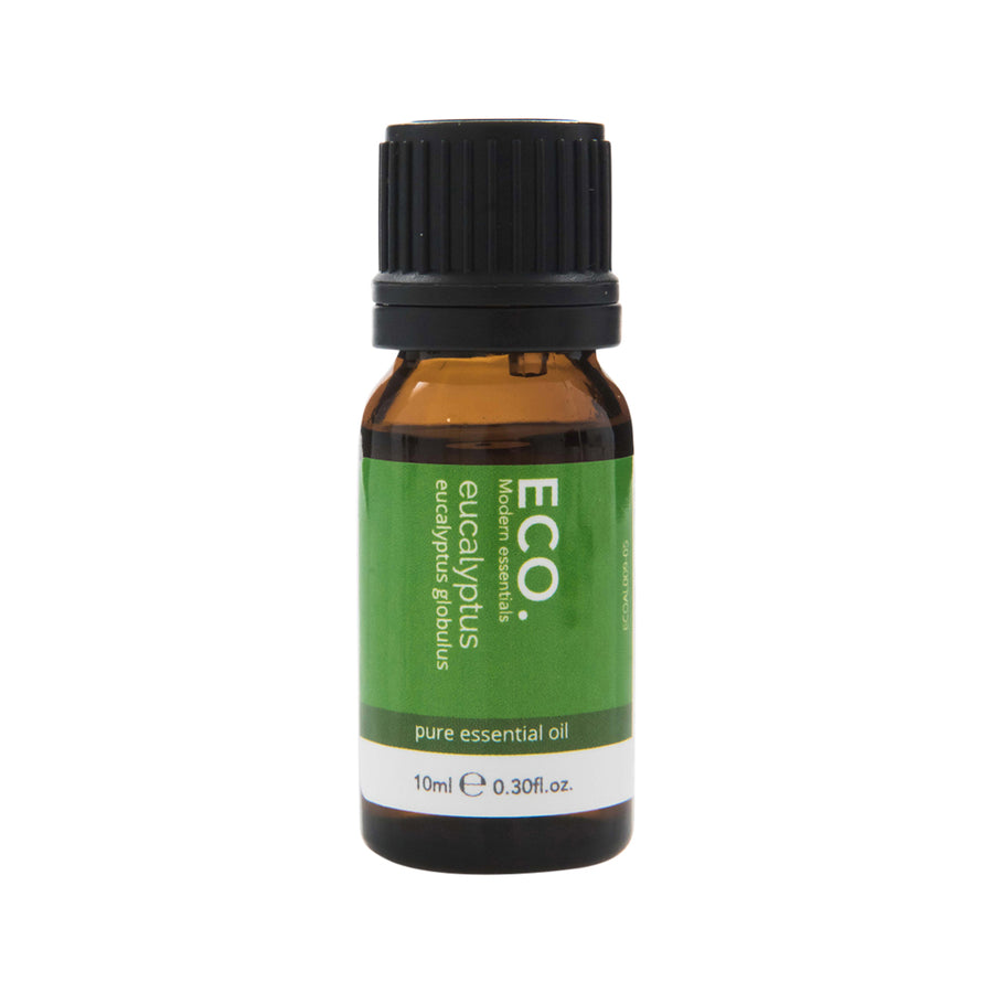 ECO Mod Ess Essential Oil Eucalyptus 10ml