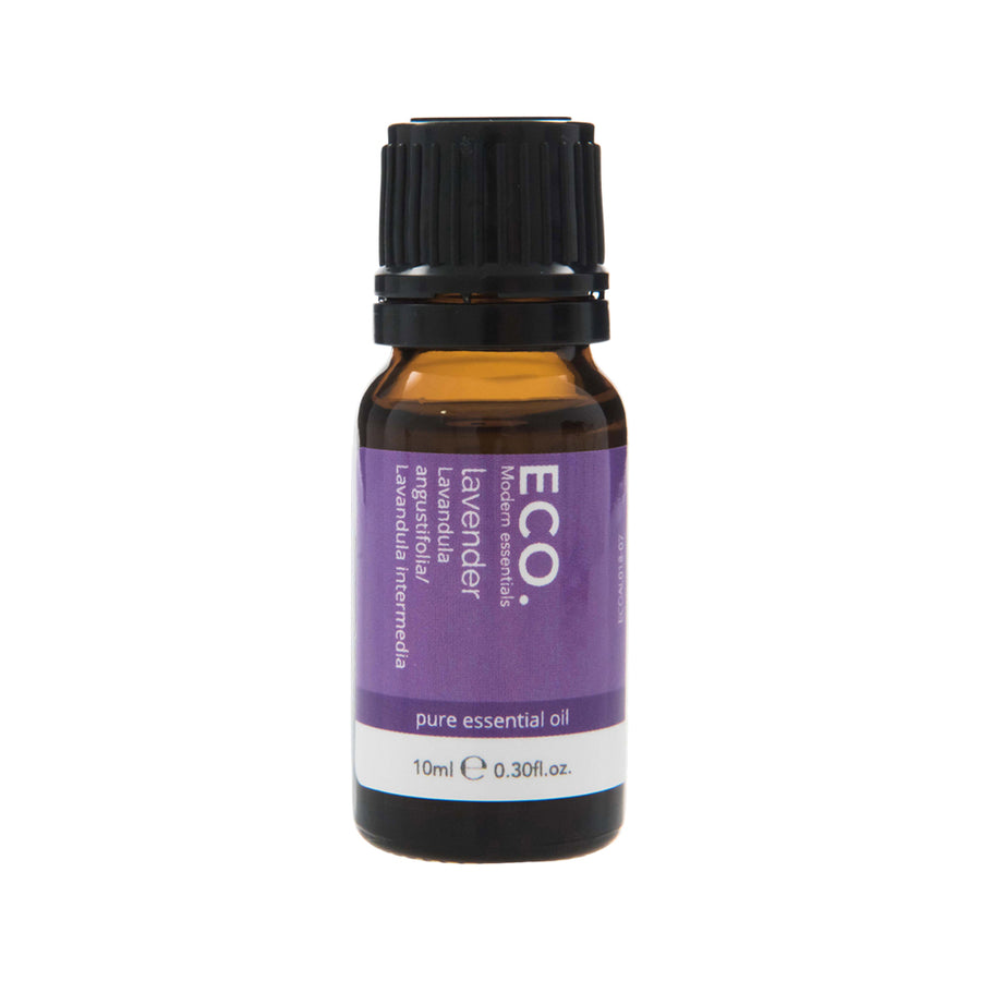 ECO Mod Ess Essential Oil Lavender 10ml
