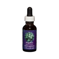 FES Org Flower Ess Quintessentials Angelica 30ml
