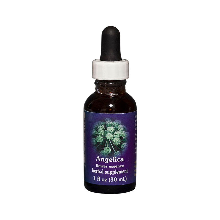 FES Org Flower Ess Quintessentials Angelica 30ml