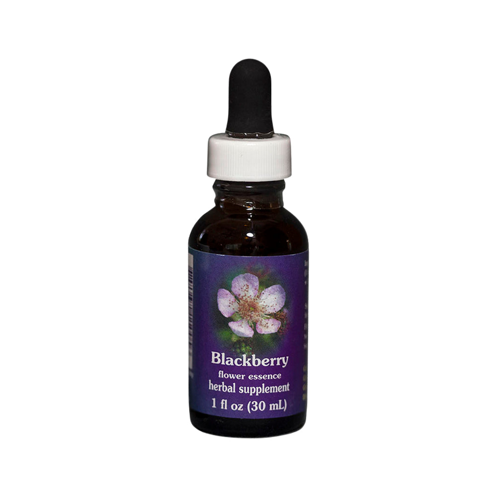 FES Org Flower Ess Quintessentials Blackberry 30ml