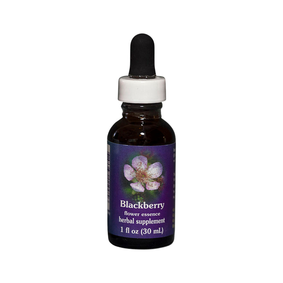FES Org Flower Ess Quintessentials Blackberry 30ml