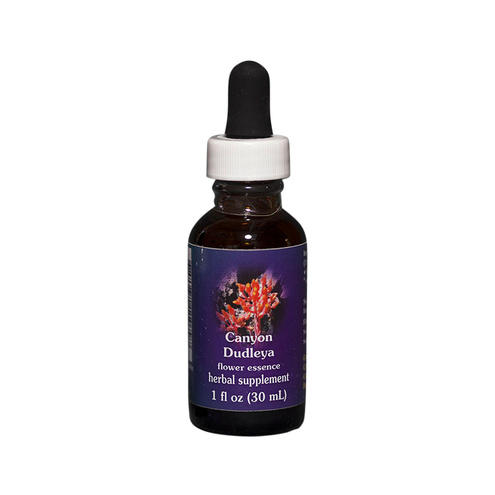 FES Org Flower Ess Quintessentials Canyon Dudleya 30ml