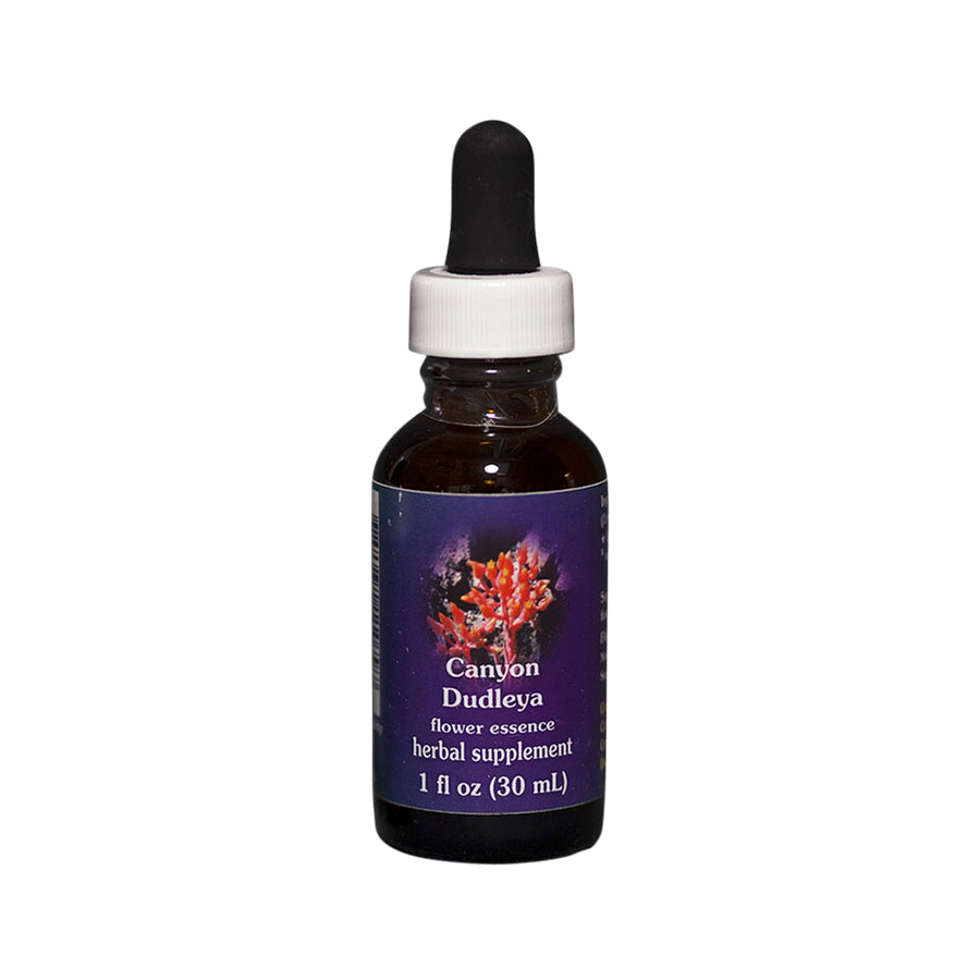 FES Org Flower Ess Quintessentials Canyon Dudleya 30ml