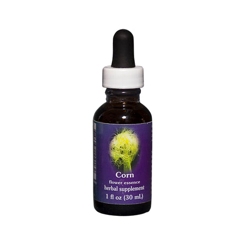 Corn Flower Essence Herbal Supplement 30mL