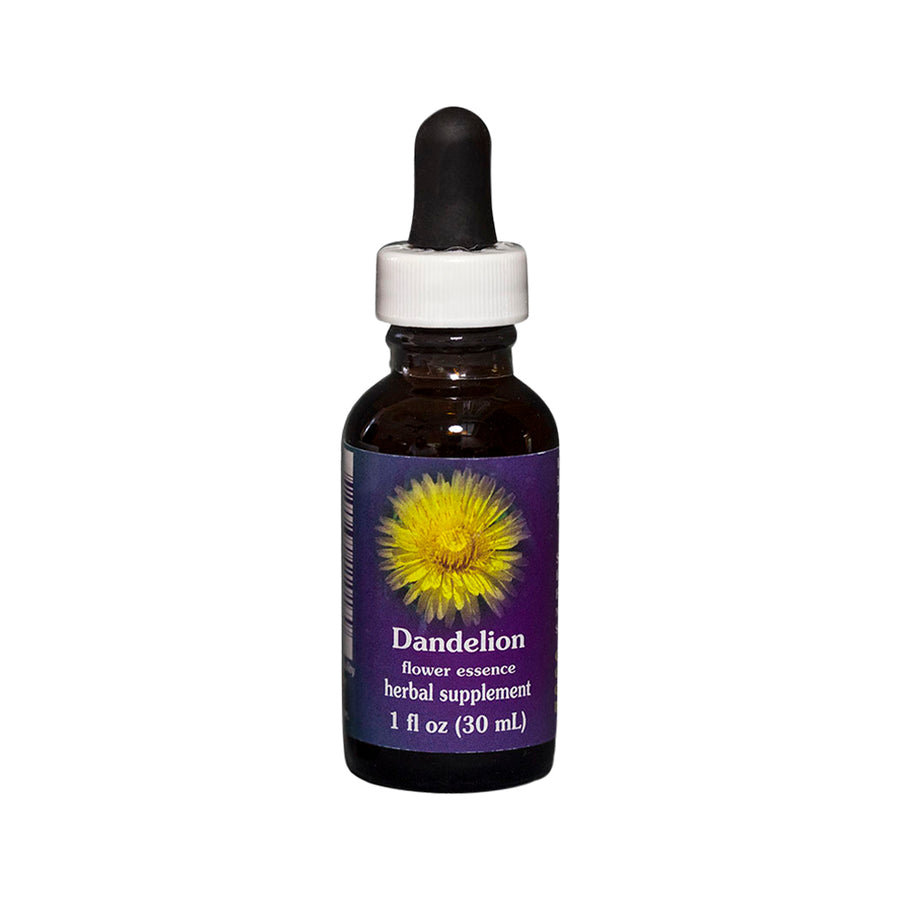 Dandelion Flower Essence Herbal Supplement 30ml