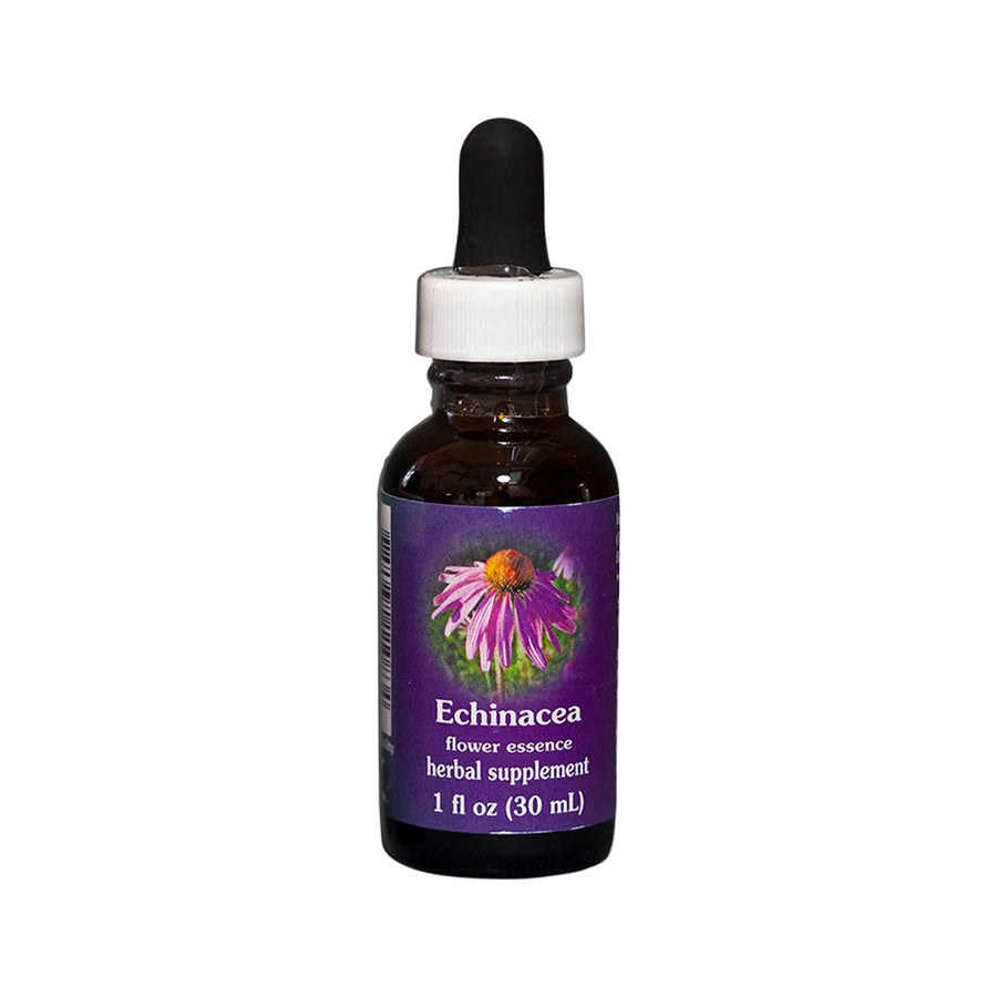 Echinacea Flower Essence Herbal Supplement 30mL