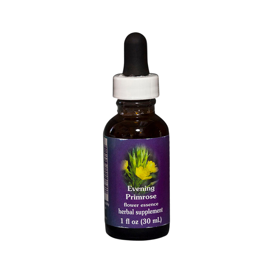 Evening Primrose Flower Essence Herbal Supplement 30ml