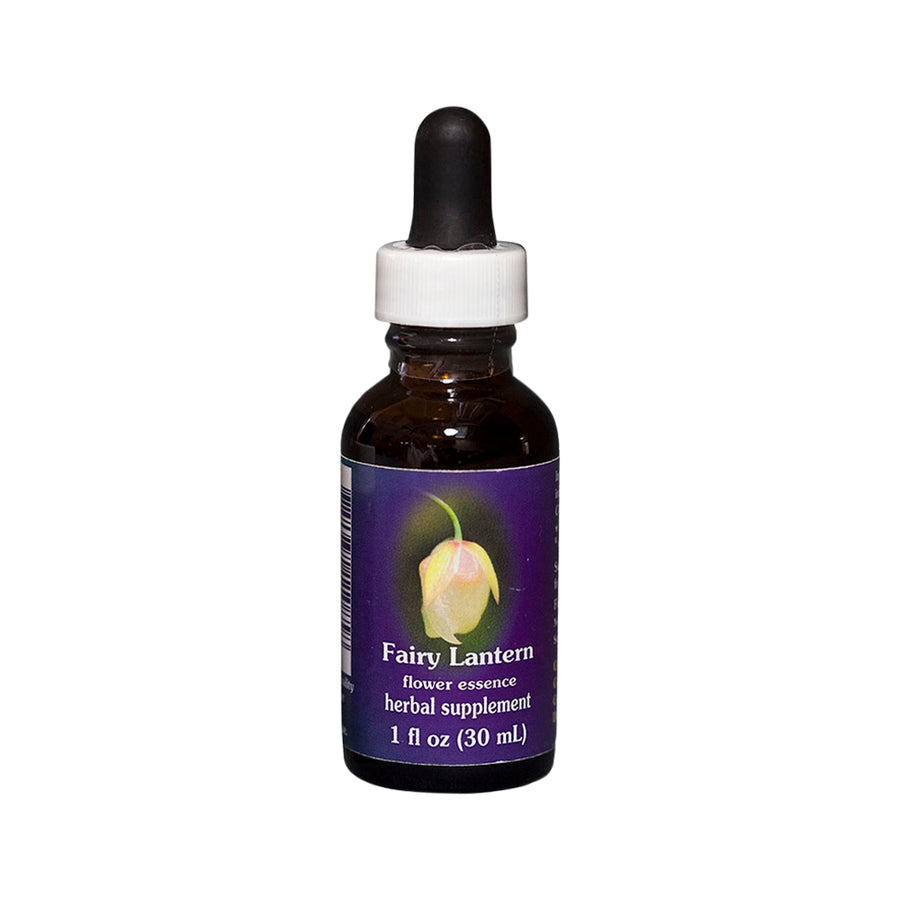FES Org Flower Ess Quintessentials Fairy Lantern 30ml