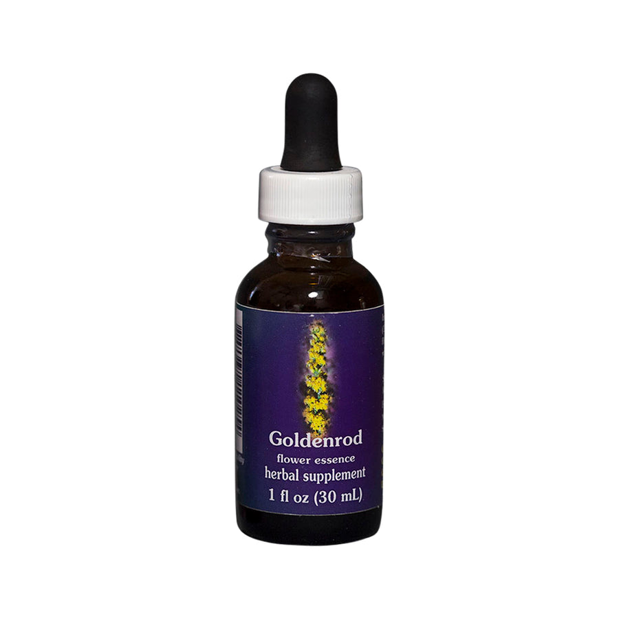 Goldenrod Flower Essence Herbal Supplement 30mL