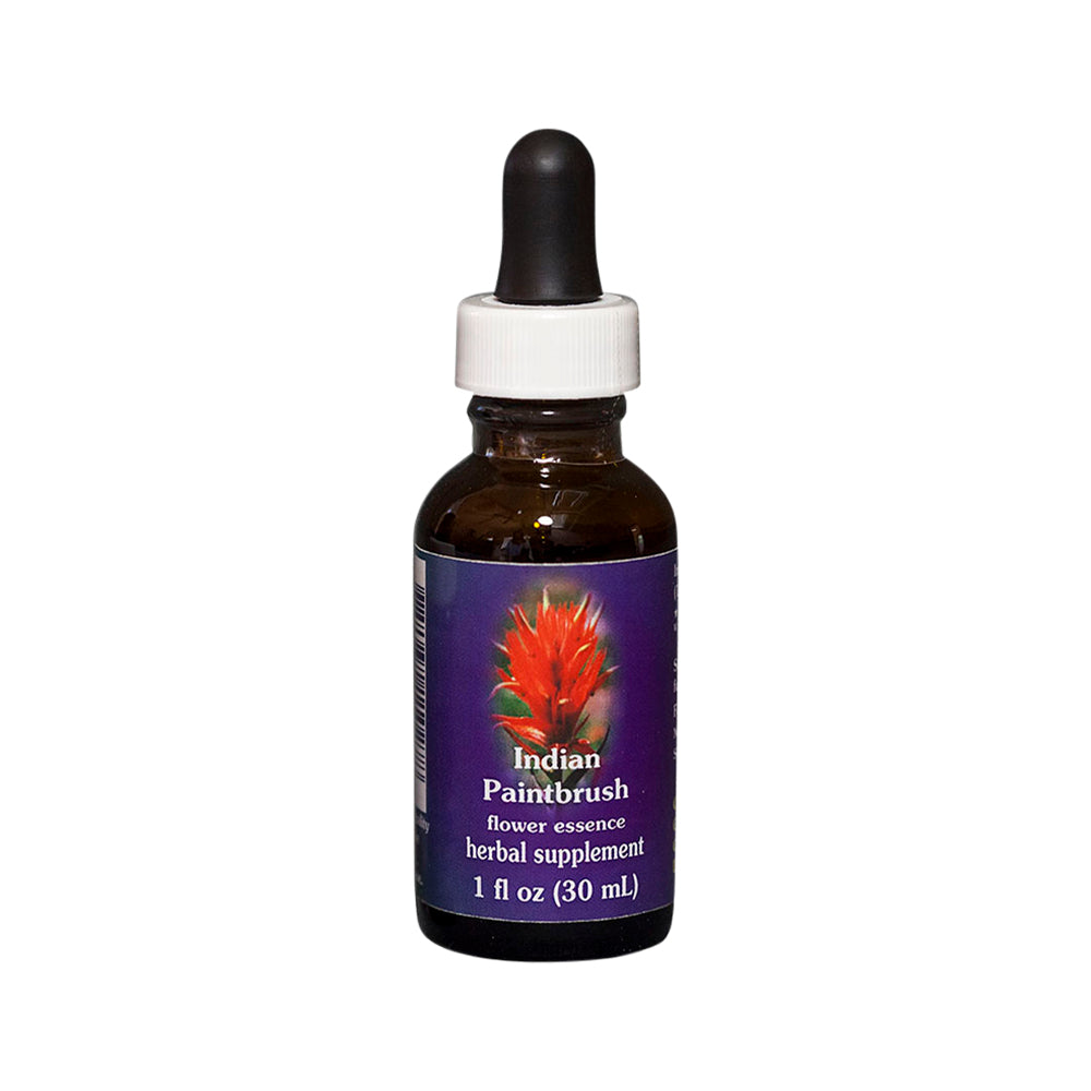 FES Org Flower Ess Quintessentials Indian Paintbrush 30ml