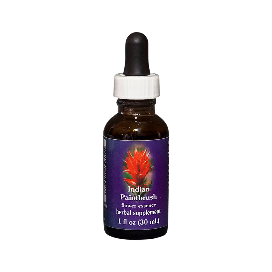 FES Org Flower Ess Quintessentials Indian Paintbrush 30ml
