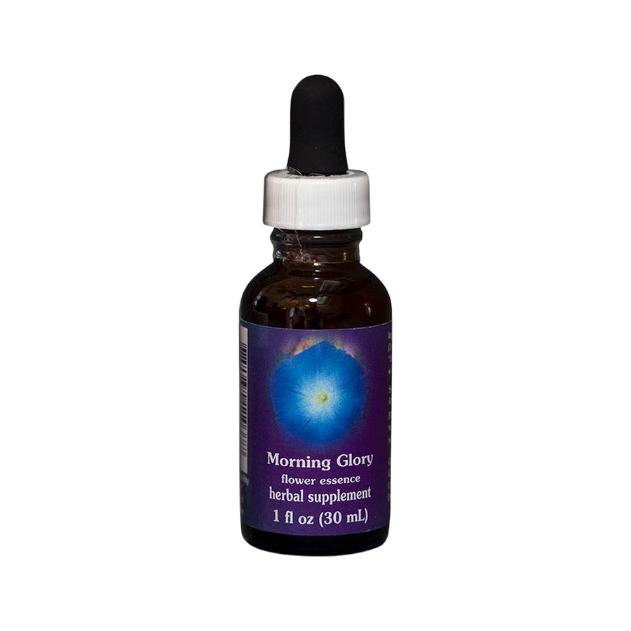 FES Org Flower Ess Quintessentials Morning Glory 30ml