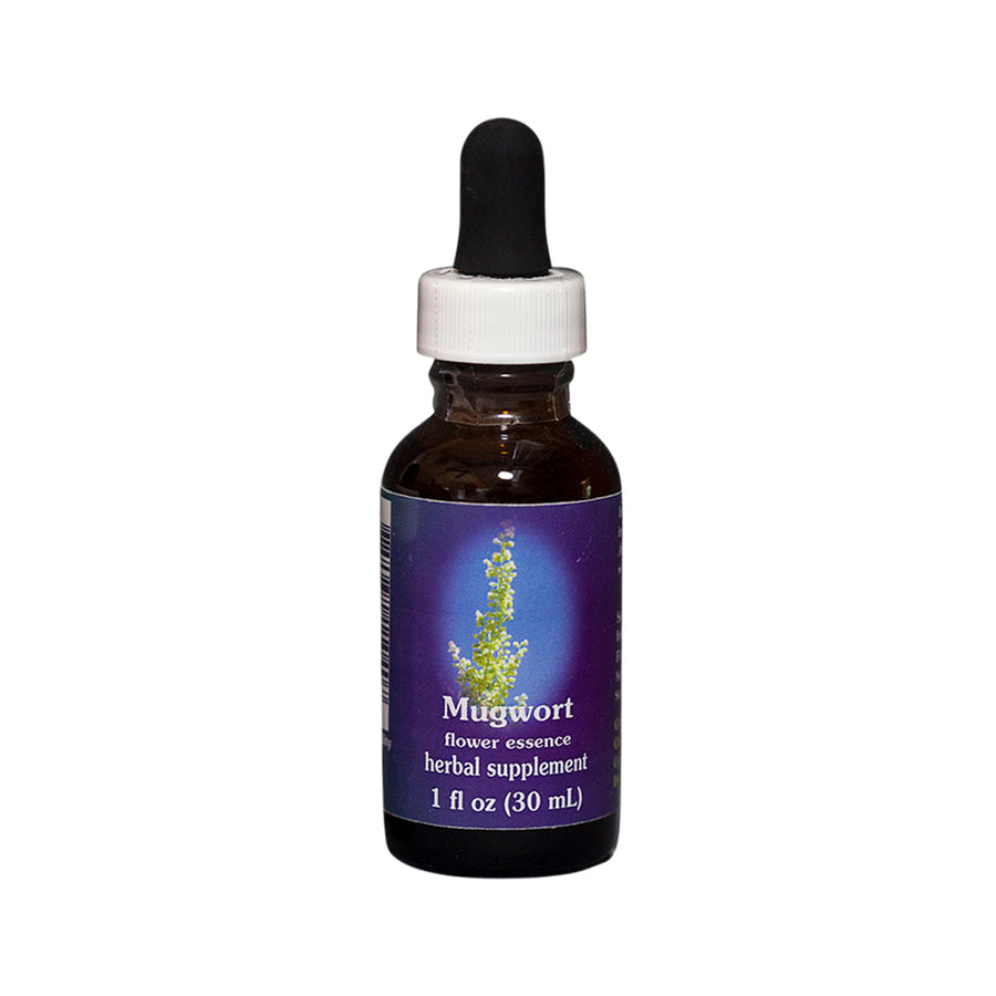 Mugwort Flower Essence Herbal Supplement 30ml