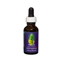 FES Org Flower Ess Quintessentials Mullein 30ml